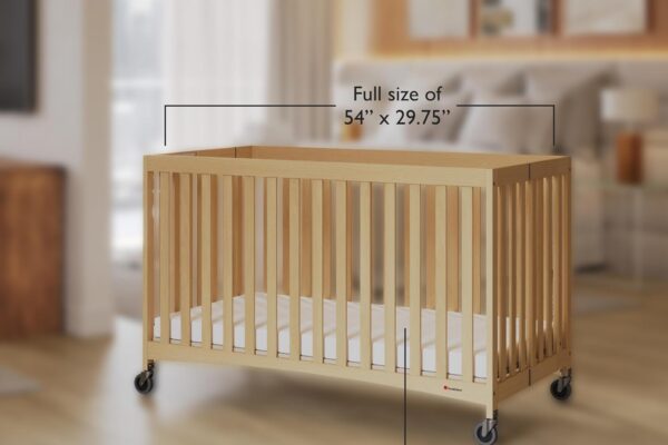 CRIB2 CRIB2